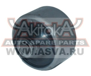 Akitaka 0 * * * 4