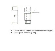 Metelli 0 * * * 2
