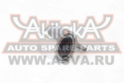 Akitaka 0 * * * L