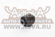 Akitaka 0 * * * 7