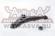 Akitaka 0 * * * 1