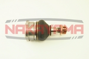 NAKAYAMA K * * * 6