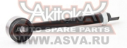 Akitaka 0 * * * L