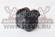Akitaka 0 * * * 1