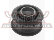 Akitaka 0 * * * 4