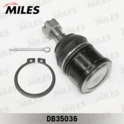 Miles D * * * 6
