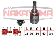 NAKAYAMA N * * * Y