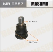 Masuma M * * * 7