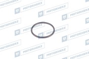 Motorherz H * * * 1