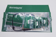 BORSEHUNG B * * * 8
