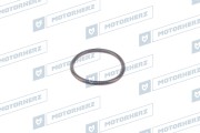 Motorherz H * * * 2