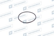 Motorherz H * * * 6