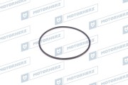 Motorherz H * * * 9