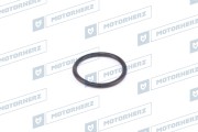 Motorherz H * * * 1