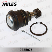 Miles D * * * 5