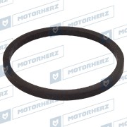 Motorherz H * * * 4