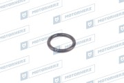 Motorherz H * * * 3