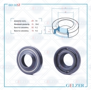 GELZER 0 * * * T