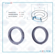 GELZER 0 * * * T