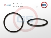 GS S * * * 5