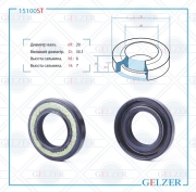 GELZER 1 * * * T