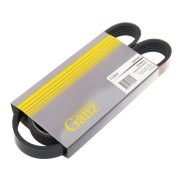 GANZ G * * * 8