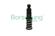 BORSEHUNG B * * * 9