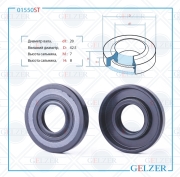 GELZER 0 * * * T
