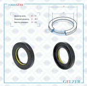 GELZER 1 * * * X