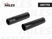 Miles D * * * 8