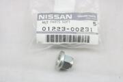 NISSAN 0 * * * 1